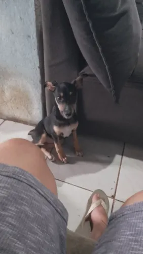 Doação