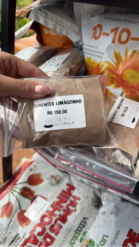 Semente de Limãozinho Bravo 