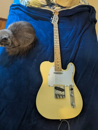 Guitarra Telecaster Fender Squier California Series.