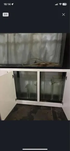 AQUÁRIO MARINHO