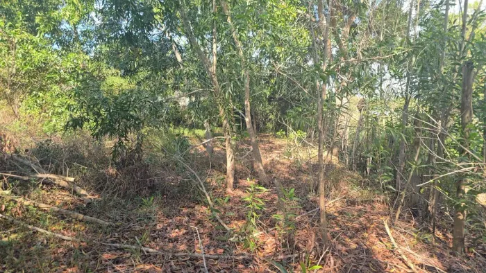LOTE COM LAGOA NOS FUNDOS, SOLAR DE VÊNUS. PONTA DA FRUTA. Aceito propostas e ofertas