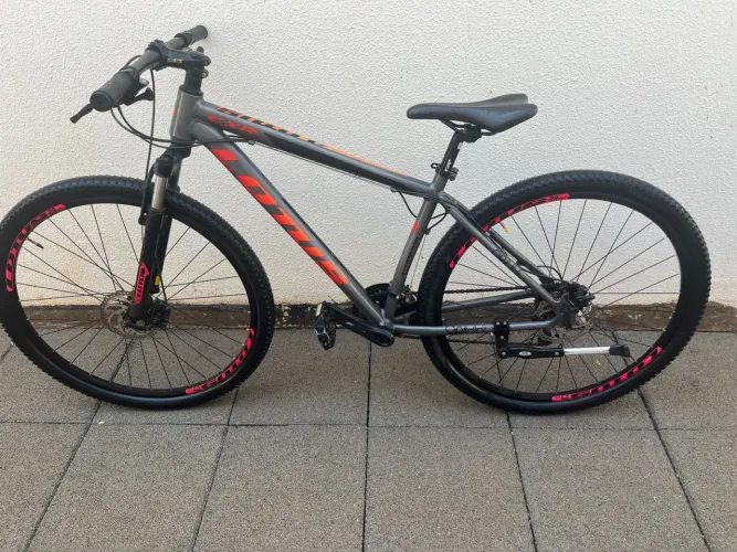 Bike lótus cinza