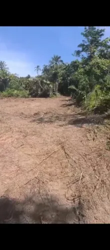 Terreno venda Ilha