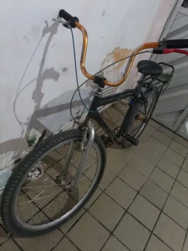 Bicicleta ? montada
