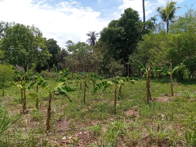 VENDO!!! SÍTIO À VENDA REGIÃO DE CUIABÁ / MT