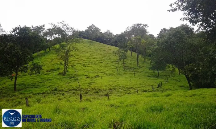 Chácara à Venda em Itapuranga 10 Alqueires | Casa Sede | 3 Represas