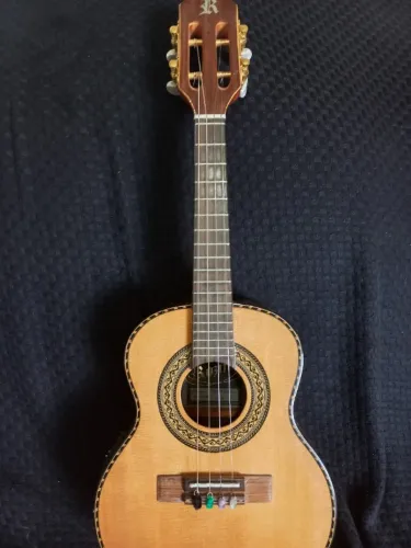 Cavaquinho Rozini Elétrico Presença Brasil