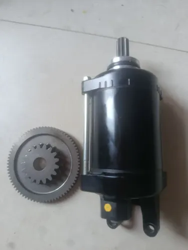 Motor de partida junto a engrenagem Tiger 900