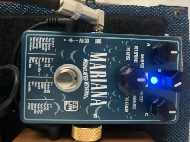 Pedal Caline Mariana