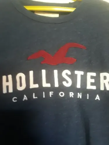 Camiseta hollister (LEIA)