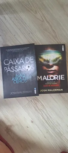 Os dois por apenas R$ 40. Caixa de Pássaros e Malorie - NOVOS