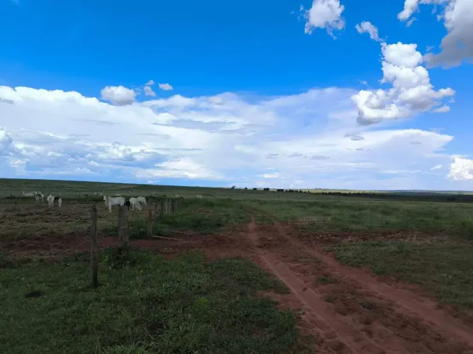 Fazenda à venda, Área Rural - CAMAPUA/MS