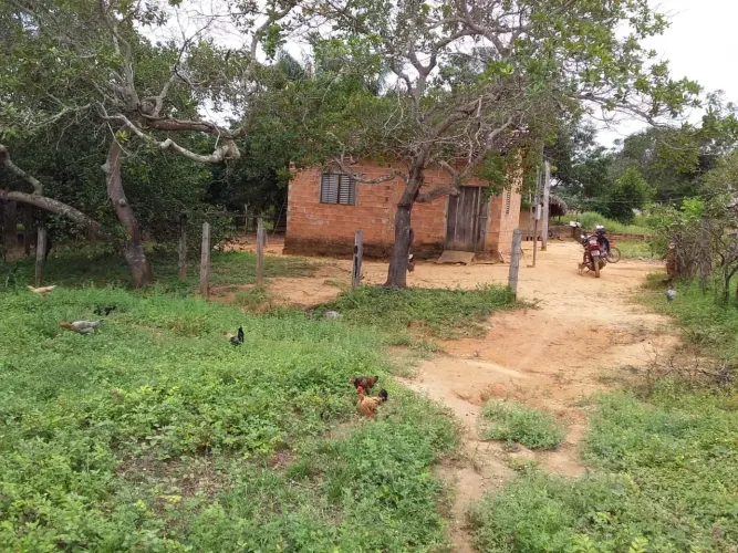 Fazenda 13.5 alq no Tocantins m Goiatins