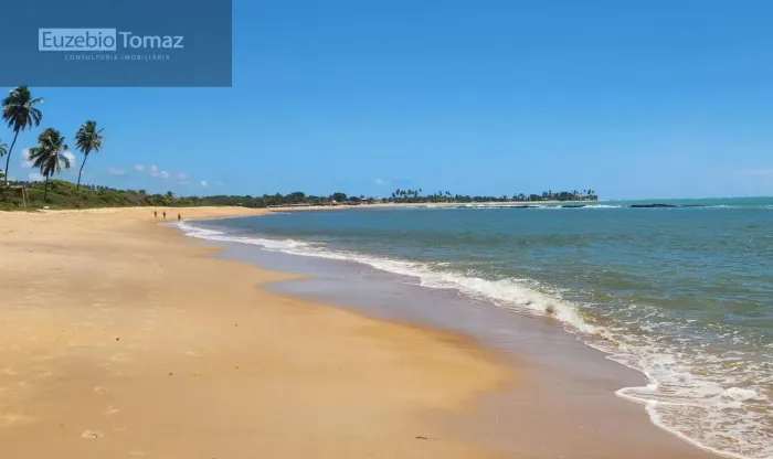 Oportunidade no Sonho verde
