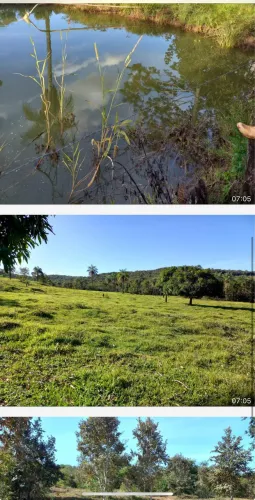 Fazenda em campo florido minas