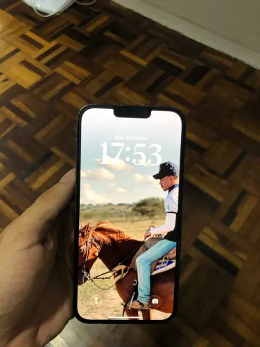 iPhone 13 Pro Max 256 GB 