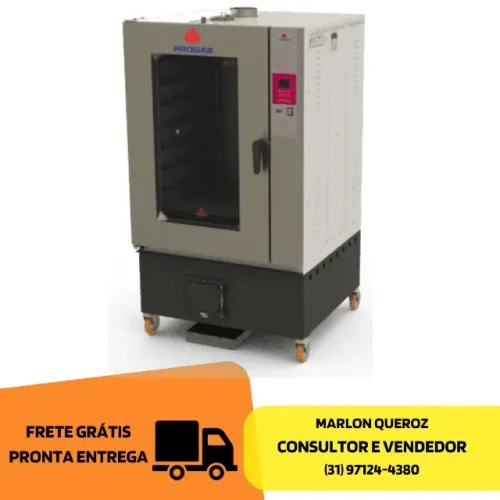 Forno Turbo a Lenha 10 Esteiras Novo