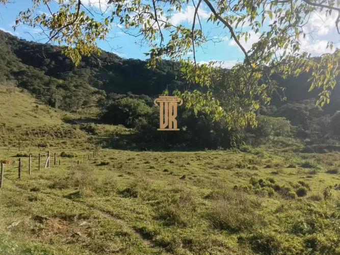 ÁREA DE 5 HECTARES EM MONTEIRO LOBATO SP