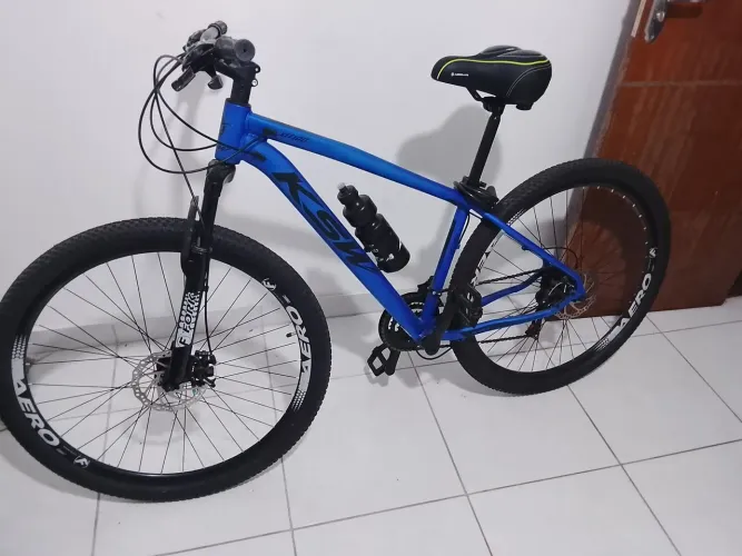 Bicicleta 29