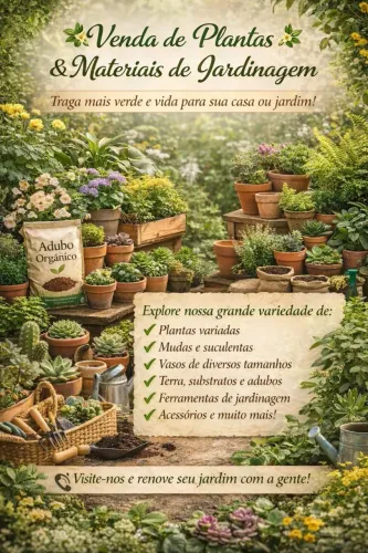 Vendo plantas e pastéis fritos e alugo toalhas e cortinas 