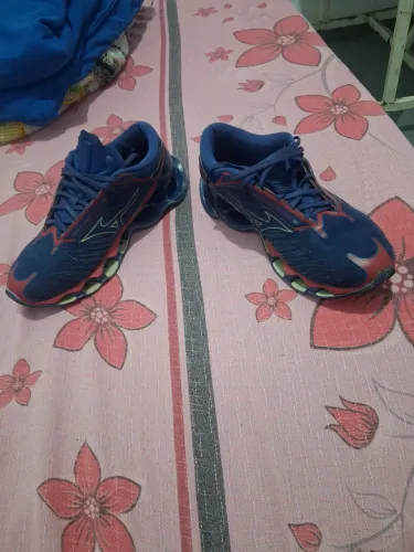 Mizuno prophecy