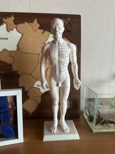 Boneco acupuntura 50cm