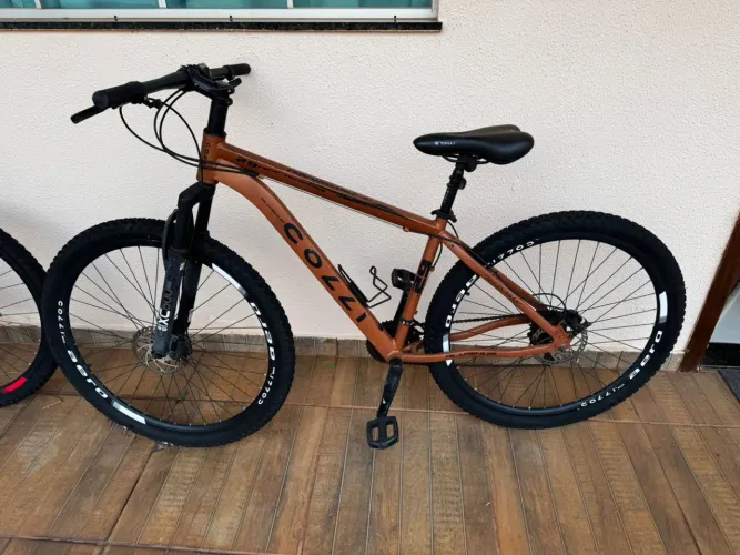 Bicicleta Colli 29
