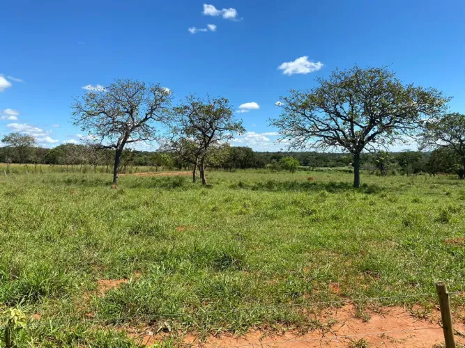 Terreno plano com 20.000 metros quadrados. Sem entrada + parcelas em Jequitiba.