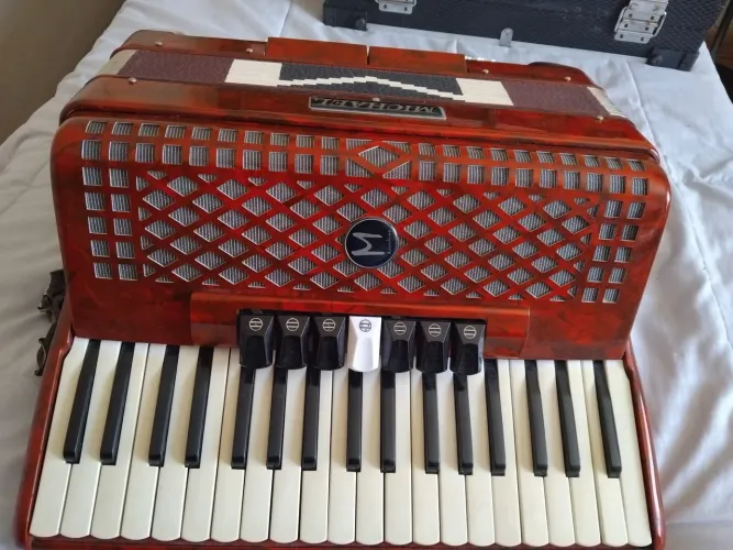 Acordeon 80 baixos Michael