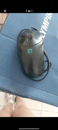 Mouse 