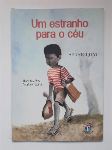 Um estranho para o céu - Livro