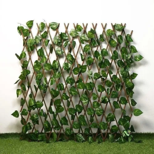Folhagem decoração