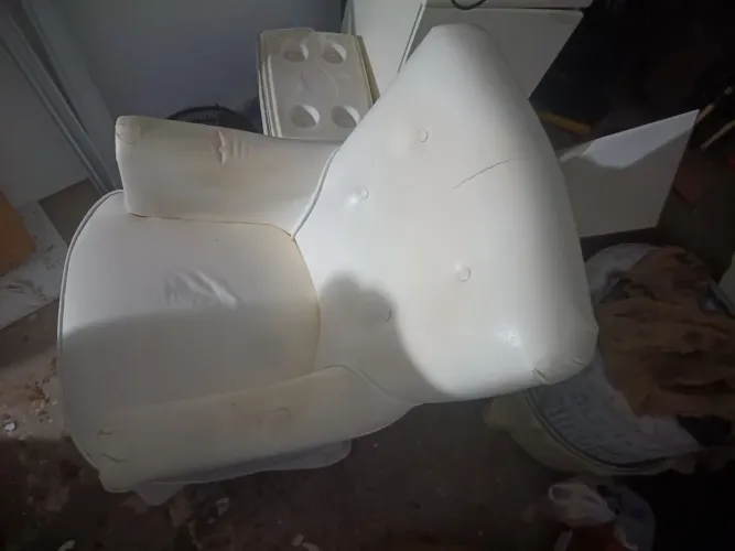 Vendo essa plantona branca