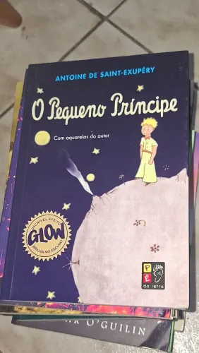 O pequeno príncipe