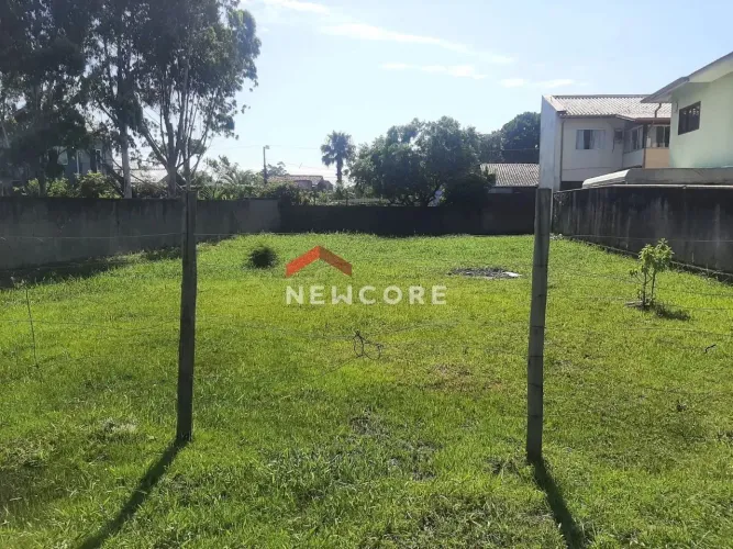 Lote em Rua da Palmeira Real - Vargem Grande - Florianópolis/SC