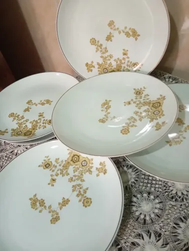 Vendo meia dúzia de prato raso de refeição sem uso porcelana real com filetes dourado .