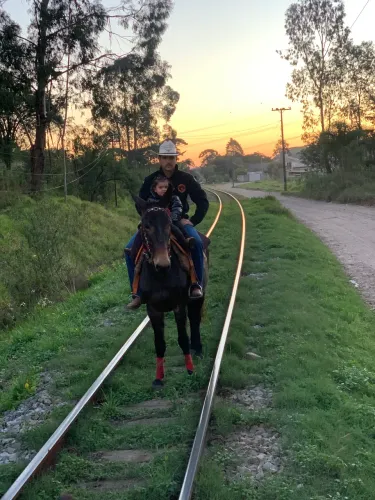 Burrão preto