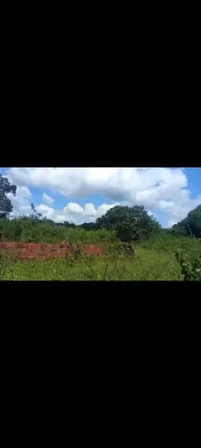 Terreno na paraipaba muito bom 17x60 Terreno co. Árvores frutífera baldame começando