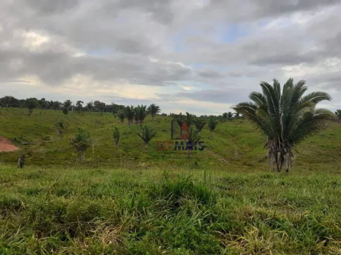 Sítio com 1 dormitório à venda, 822800 m² - Zona Rural - Machadinho D'Oeste/RO