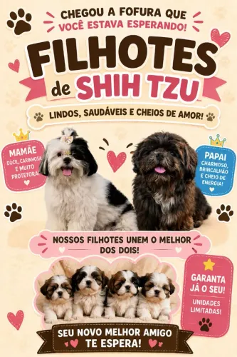 Shitzu puro disponível