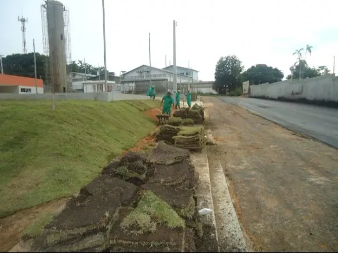 Venda e plantio de grama