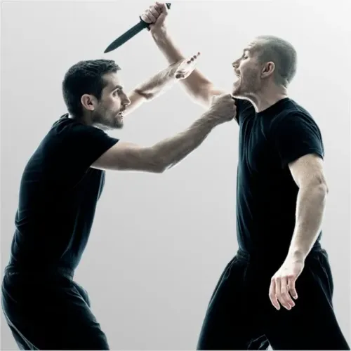Curso Derfesa Pessoal de Krav Magá C/Certificado
