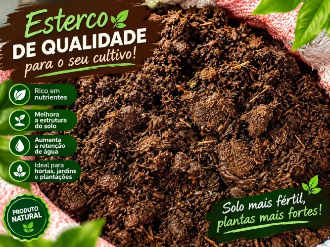 Adubo natural de esterco de cavalo, o melhor adubo para suas plantas