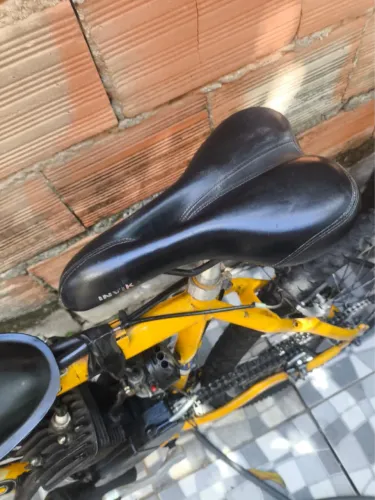 Bicicleta motorizada