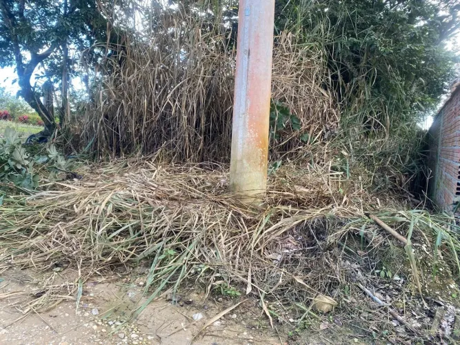 Vendo terreno com casa com 2 comodos