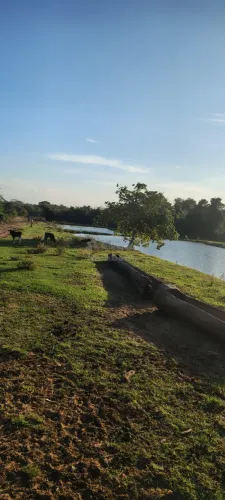 Fazenda no Município de Cachoeira Alta Goiás