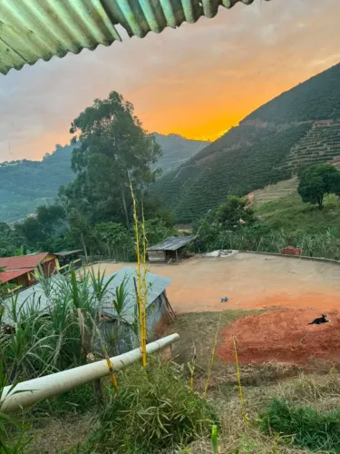 30 mil pés de café 2 casas 10 hectares abaixou pra 1.300.000
