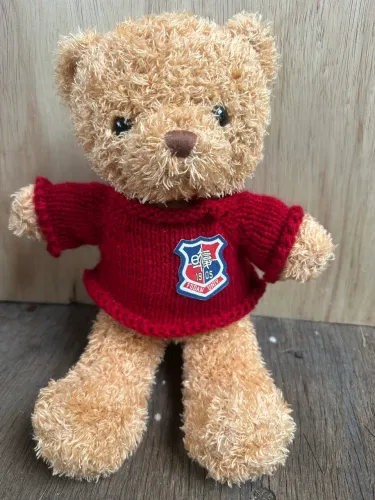 Urso pelúcia original Fudan Universidade Xangai China Impecável Campinas-sp