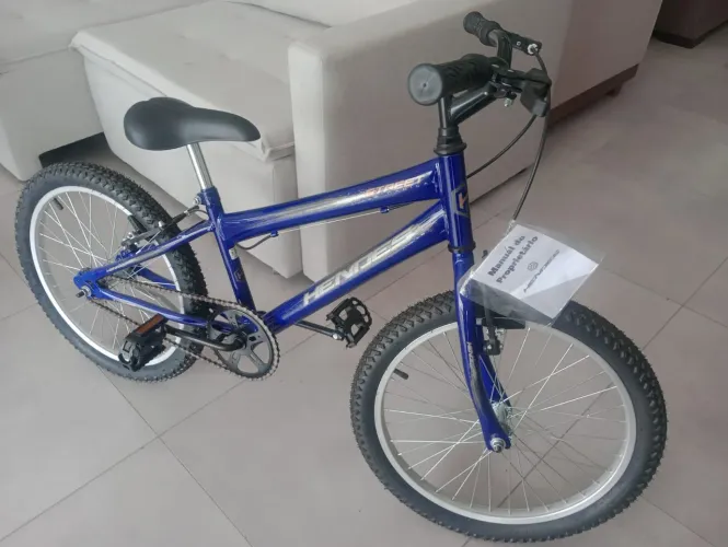 BICICLETA 20 STREET AZUL- DULCE<br><br>10 x 74,99