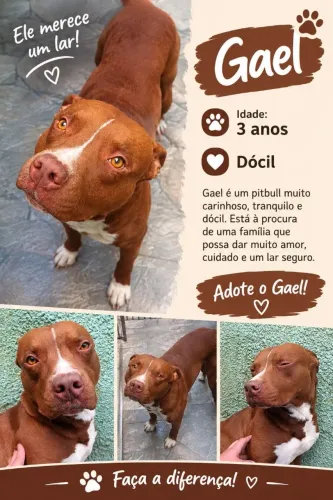 Doação